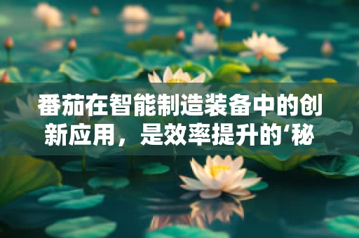 番茄在智能制造装备中的创新应用，是效率提升的‘秘密武器’吗？
