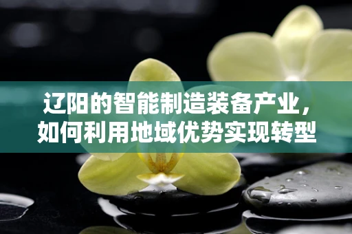 辽阳的智能制造装备产业，如何利用地域优势实现转型升级？