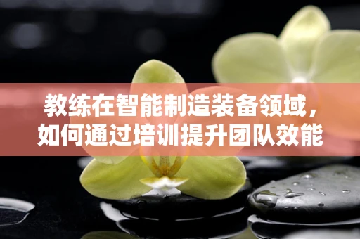 教练在智能制造装备领域，如何通过培训提升团队效能？
