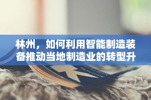 林州，如何利用智能制造装备推动当地制造业的转型升级？