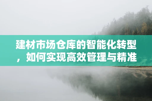建材市场仓库的智能化转型，如何实现高效管理与精准库存？