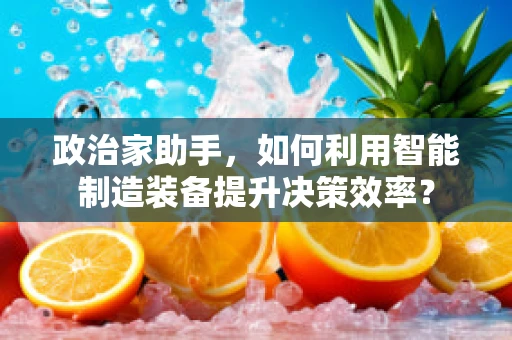 政治家助手，如何利用智能制造装备提升决策效率？