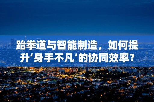 跆拳道与智能制造，如何提升‘身手不凡’的协同效率？