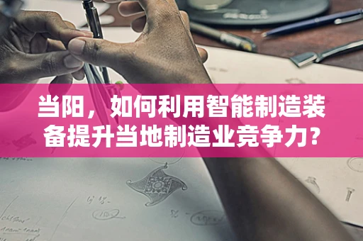 当阳，如何利用智能制造装备提升当地制造业竞争力？