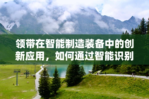 领带在智能制造装备中的创新应用，如何通过智能识别技术提升个性化定制？