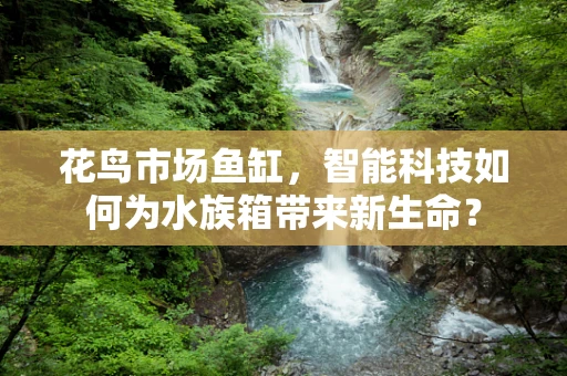 花鸟市场鱼缸，智能科技如何为水族箱带来新生命？