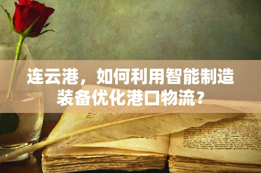 连云港，如何利用智能制造装备优化港口物流？