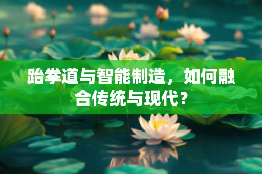 跆拳道与智能制造，如何融合传统与现代？