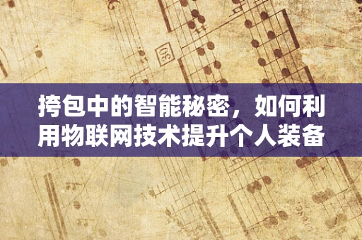 挎包中的智能秘密，如何利用物联网技术提升个人装备管理效率？