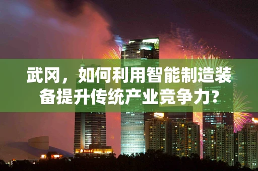 武冈，如何利用智能制造装备提升传统产业竞争力？