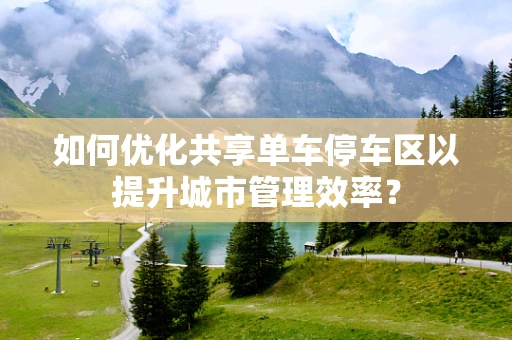 如何优化共享单车停车区以提升城市管理效率？
