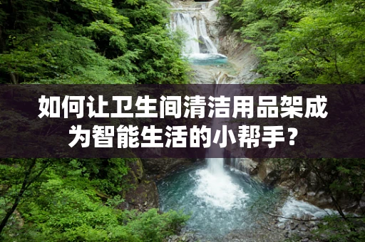 如何让卫生间清洁用品架成为智能生活的小帮手？