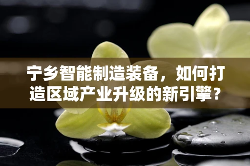 宁乡智能制造装备，如何打造区域产业升级的新引擎？