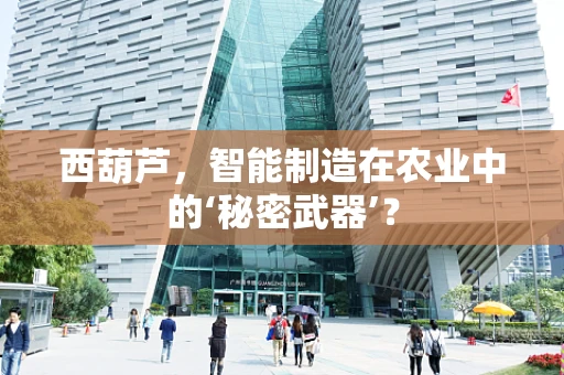 西葫芦，智能制造在农业中的‘秘密武器’？