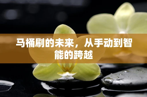 马桶刷的未来，从手动到智能的跨越