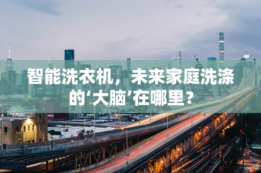 智能洗衣机，未来家庭洗涤的‘大脑’在哪里？