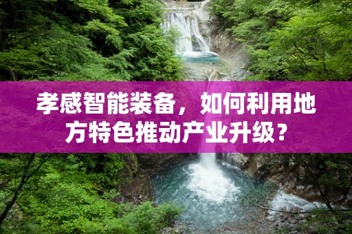 孝感智能装备，如何利用地方特色推动产业升级？