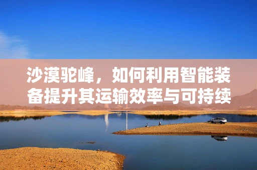 沙漠驼峰，如何利用智能装备提升其运输效率与可持续性？