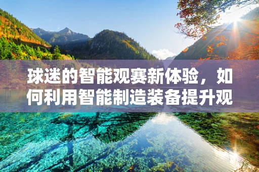 球迷的智能观赛新体验，如何利用智能制造装备提升观赛氛围？