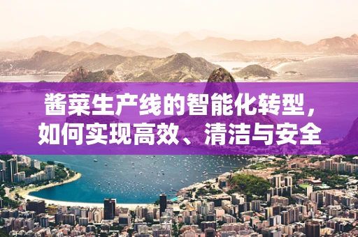 酱菜生产线的智能化转型，如何实现高效、清洁与安全？