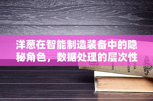 洋葱在智能制造装备中的隐秘角色，数据处理的层次性思考