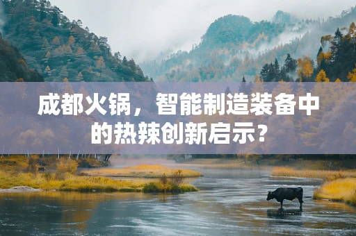 成都火锅，智能制造装备中的热辣创新启示？