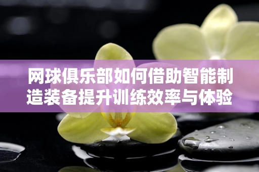 网球俱乐部如何借助智能制造装备提升训练效率与体验？