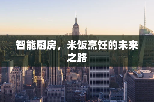 智能厨房，米饭烹饪的未来之路
