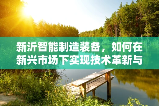 新沂智能制造装备，如何在新兴市场下实现技术革新与产业升级？