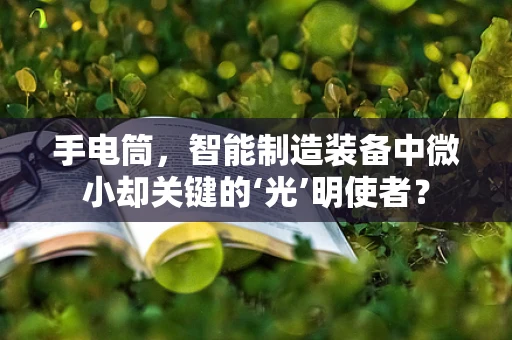 手电筒，智能制造装备中微小却关键的‘光’明使者？