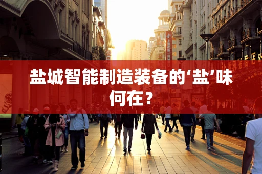 盐城智能制造装备的‘盐’味何在？