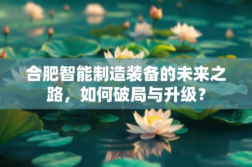 合肥智能制造装备的未来之路，如何破局与升级？