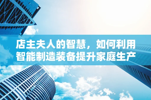 店主夫人的智慧，如何利用智能制造装备提升家庭生产效率？