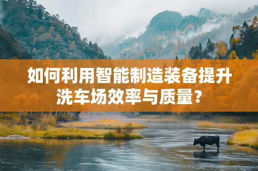 如何利用智能制造装备提升洗车场效率与质量？