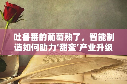 吐鲁番的葡萄熟了，智能制造如何助力‘甜蜜’产业升级？