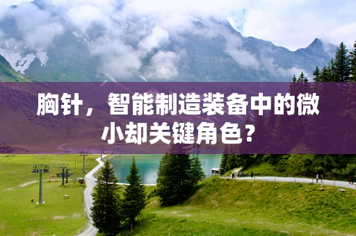胸针，智能制造装备中的微小却关键角色？