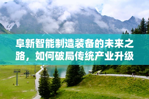 阜新智能制造装备的未来之路，如何破局传统产业升级的困境？