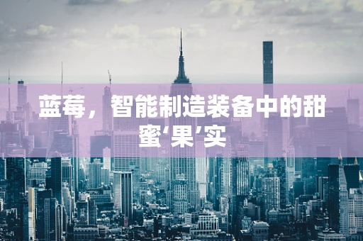 蓝莓，智能制造装备中的甜蜜‘果’实