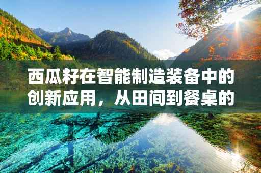 西瓜籽在智能制造装备中的创新应用，从田间到餐桌的智能之旅？