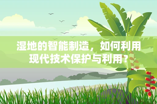 湿地的智能制造，如何利用现代技术保护与利用？