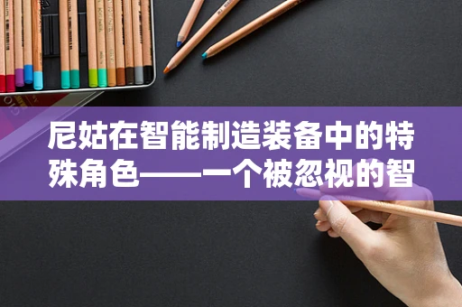 尼姑在智能制造装备中的特殊角色——一个被忽视的智慧力量？