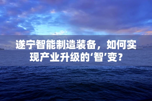 遂宁智能制造装备，如何实现产业升级的‘智’变？