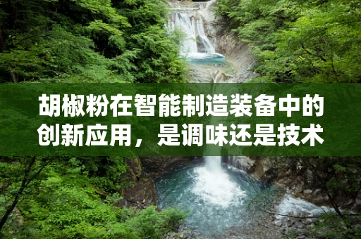 胡椒粉在智能制造装备中的创新应用，是调味还是技术革新？