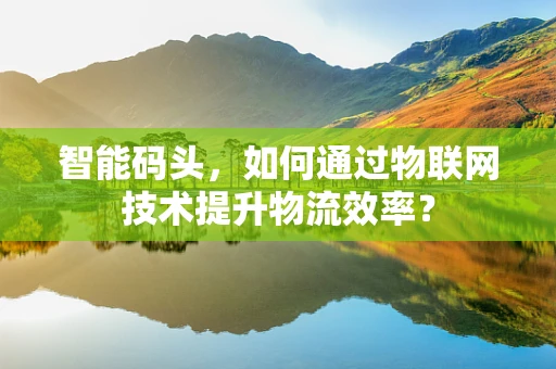 智能码头，如何通过物联网技术提升物流效率？