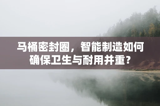 马桶密封圈，智能制造如何确保卫生与耐用并重？