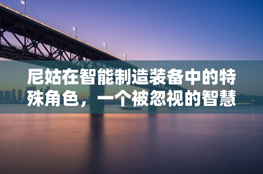 尼姑在智能制造装备中的特殊角色，一个被忽视的智慧力量？