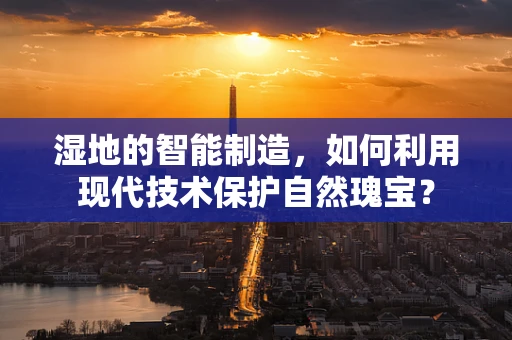 湿地的智能制造，如何利用现代技术保护自然瑰宝？