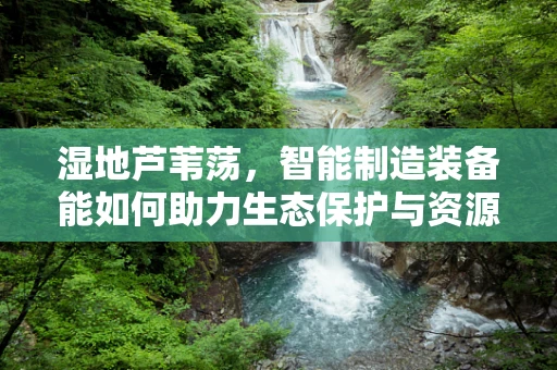湿地芦苇荡，智能制造装备能如何助力生态保护与资源利用？