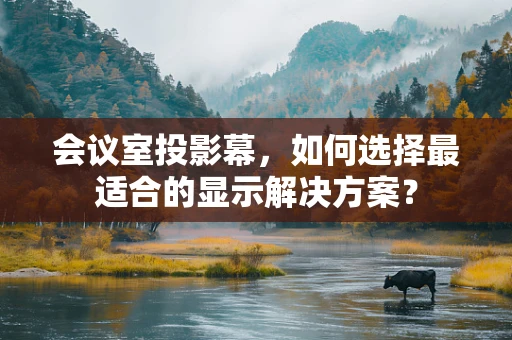 会议室投影幕，如何选择最适合的显示解决方案？