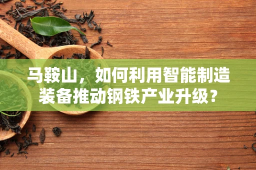 马鞍山，如何利用智能制造装备推动钢铁产业升级？